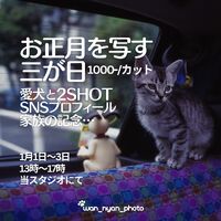 ブログ画像