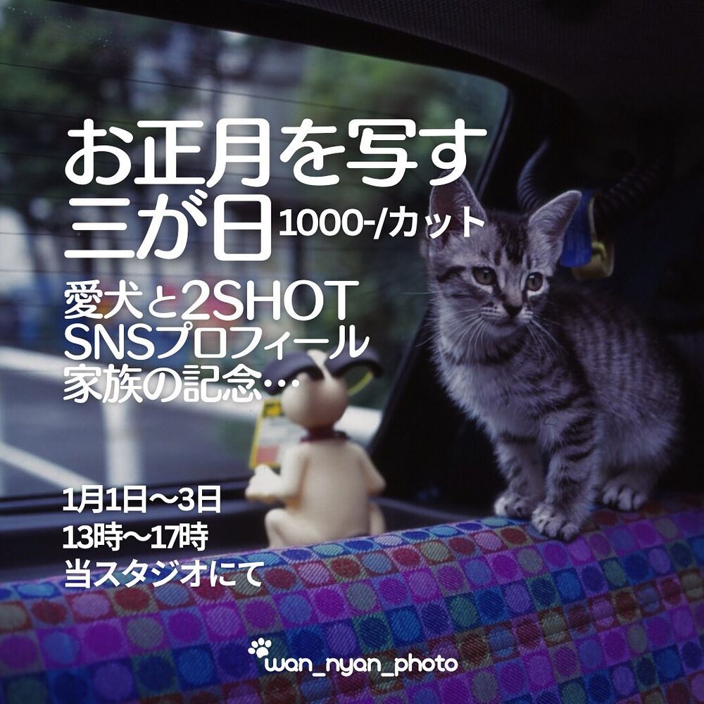 ブログ画像