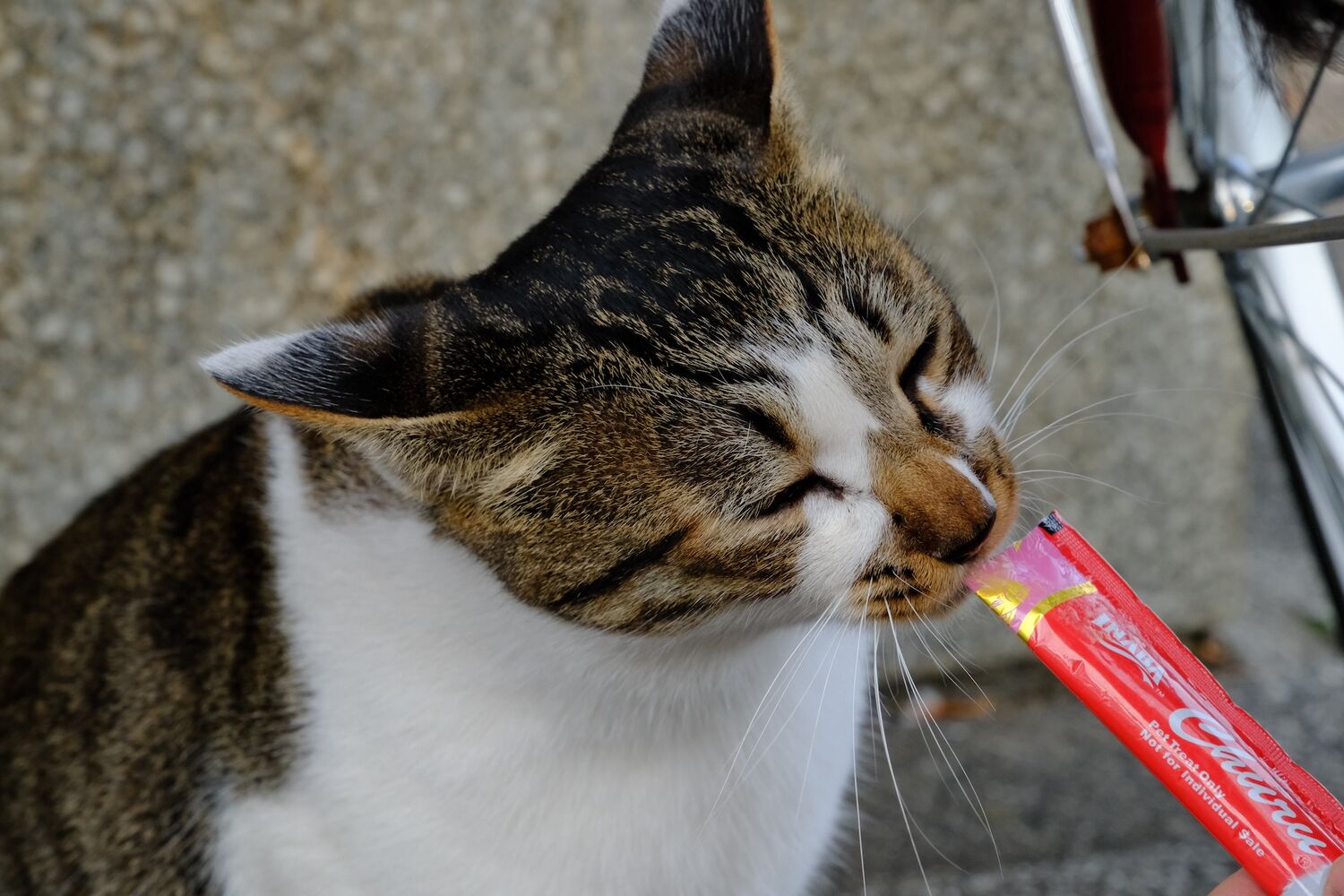 画像2010