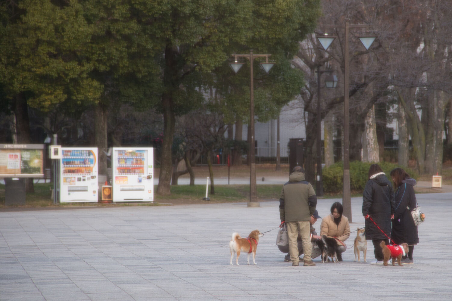 画像2115