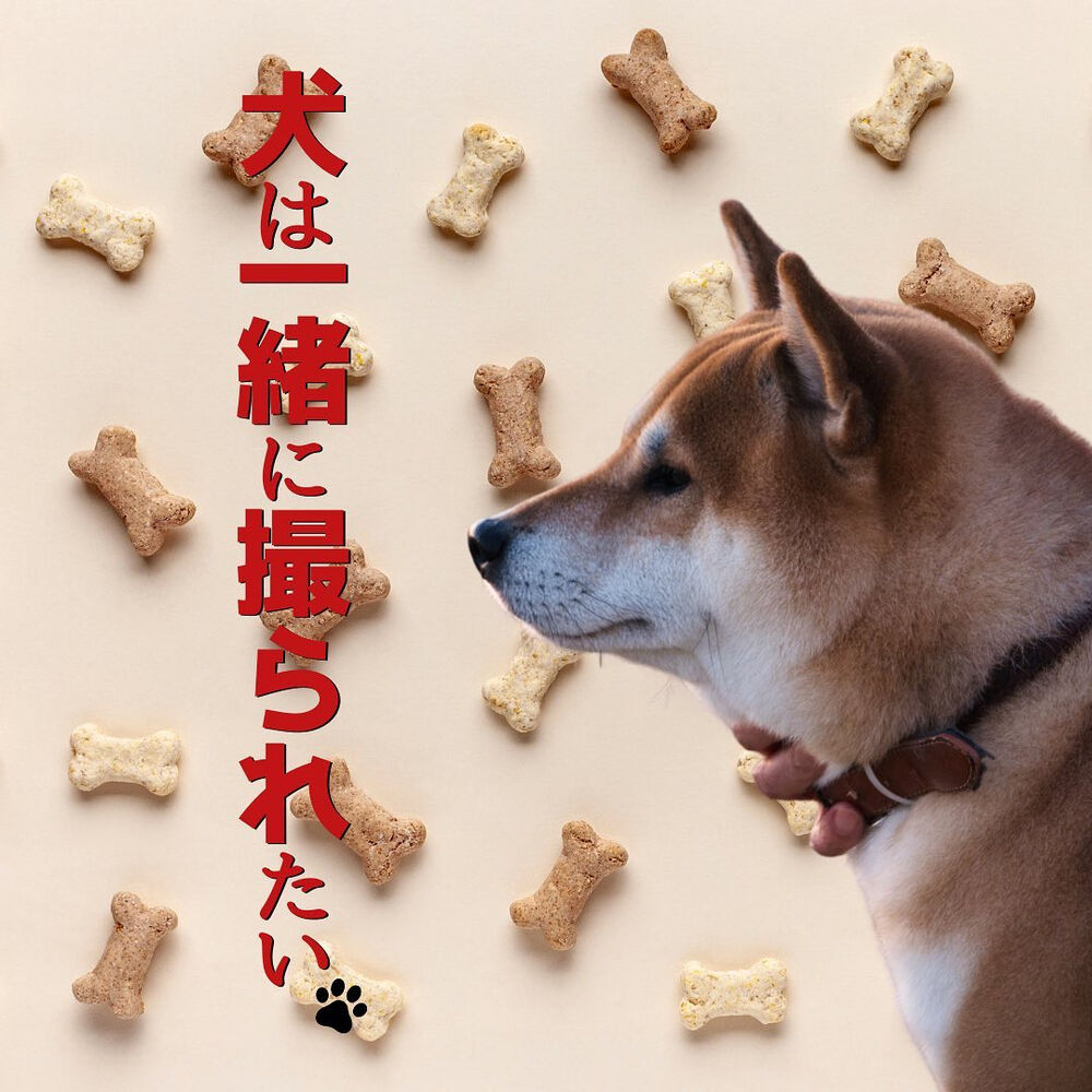 ブログ画像