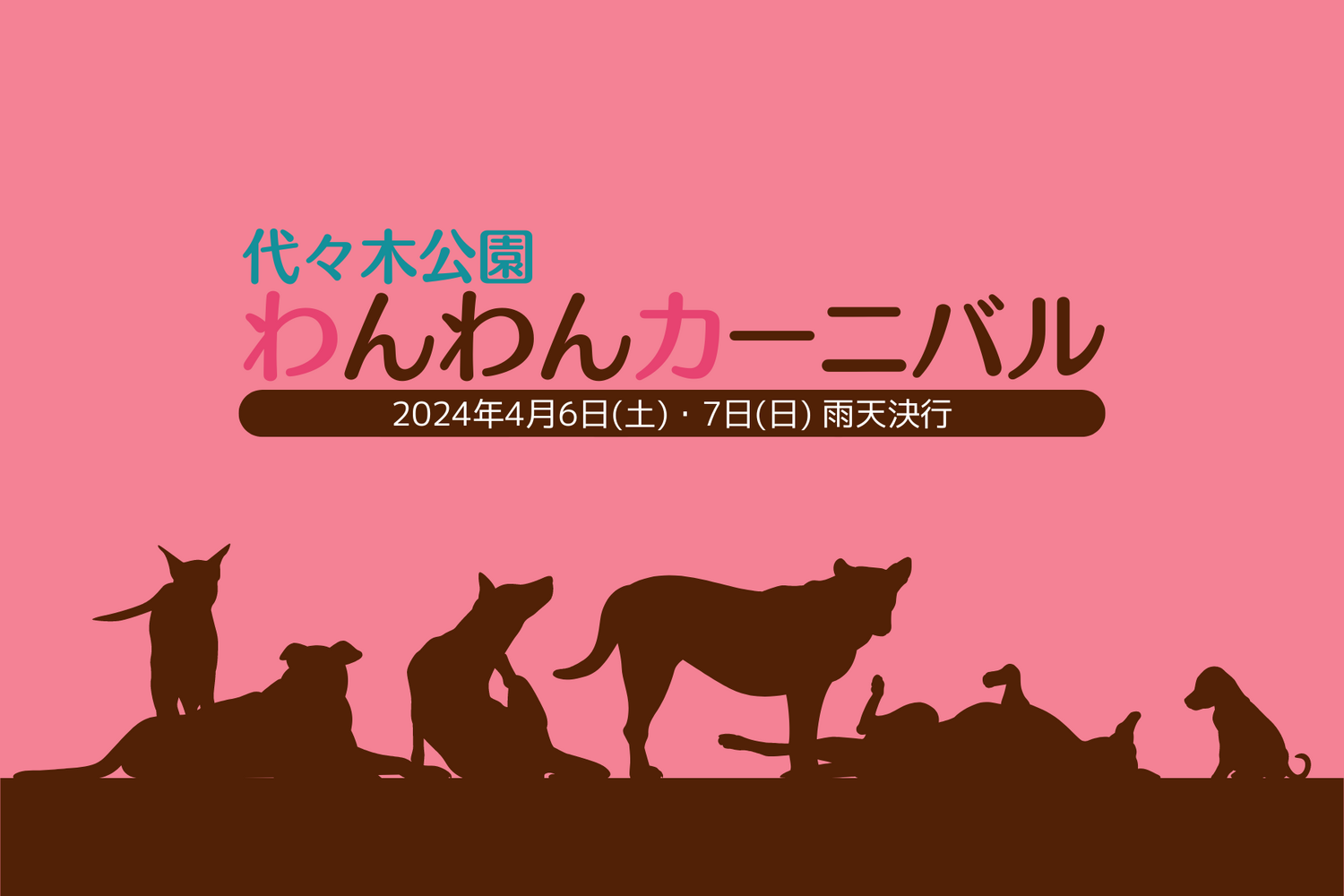 画像2763