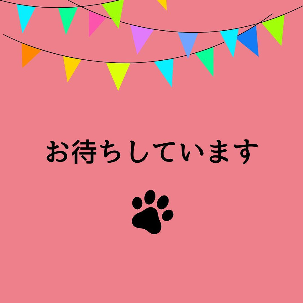ブログ画像