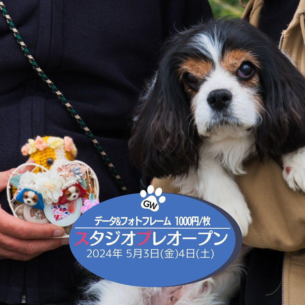 ブログ画像
