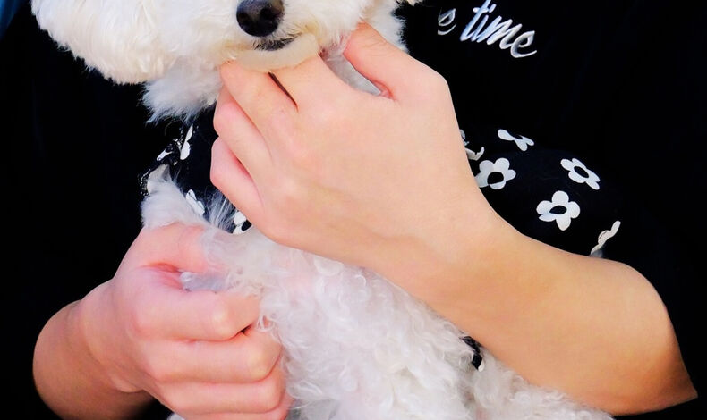 画像3737：📸 愛犬との2ショット 残します 🐶👩‍🦰